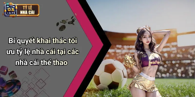 Bí quyết khai thác tối ưu tỷ lệ nhà cái tại các nhà cái thể thao