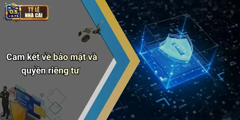 Cam kết về bảo mật và quyền riêng tư