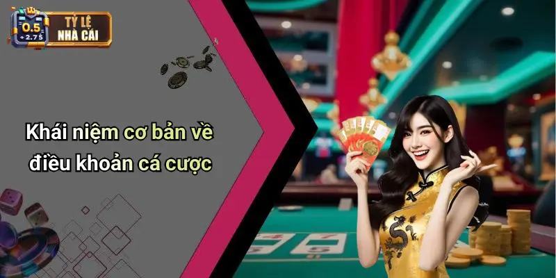 Khái niệm cơ bản về điều khoản cá cược