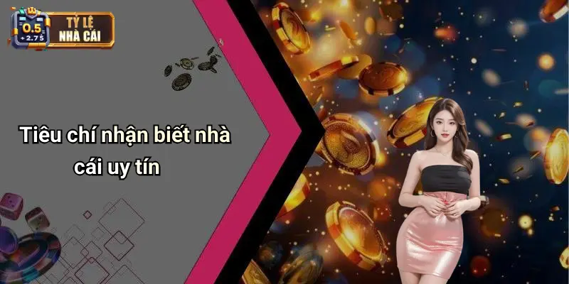 Tại sao cần chọn nhà cái uy tín?
