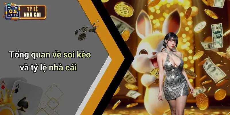 Tổng quan về soi kèo và tỷ lệ nhà cái