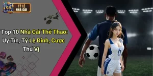 Top 10 Nhà Cái Thể Thao: Uy Tín, Tỷ Lệ Đỉnh, Cược Thú Vị