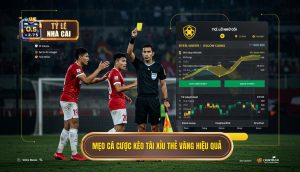 Mẹo cá cược kèo tài xỉu thẻ vàng hiệu quả